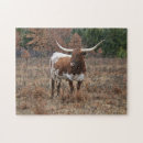Recherche de longhorn puzzles Texas