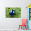Recherche de plumage art Animal