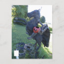 Search for headless postcards Horseman