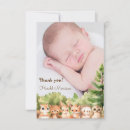 Search for rustic modern cards Forest