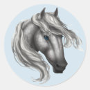 Search for grey horse stickers Stallion