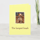 Search for leash cards Pet