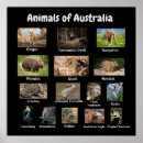 Recherche de australia posters Animals