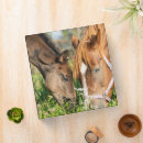 Search for colt binders Horse