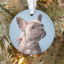 Search for french bulldog ornaments Purebred