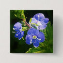 Search for image macro buttons Nature