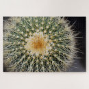 Recherche de cactus puzzles Horticulture