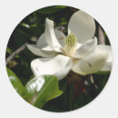 Search for fresh wedding stickers Flowers