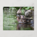 Search for conservation horizontal postcards Wildlife