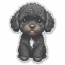 Search for black white cockapoo Cute