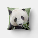 Search for giant panda pillows Animal