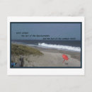 Search for beachcombing postcards Beachcomber