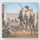 Search for buck coasters Western