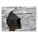 Search for wildfowling Nature