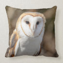 Search for barn owls pillows Raptor