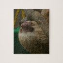Recherche de sloth puzzles Zoo