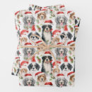 Search for beagle christmas wrapping paper Pattern