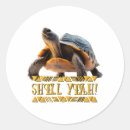 Search for turtle shell stickers Ocean