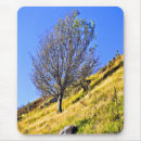 Search for hillside electronics Trees