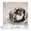 Search for doxies binders Dachshund