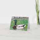 Recherche de étang vœux cartes Canards