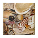 Recherche de coquille mer carreaux Coquilles de mer