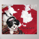 Search for funny dog picture posters Cat