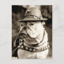 Recherche de patrouille cartes postales Mignon