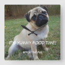 Search for food clocks Dog