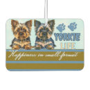 Recherche de terrier voiture accessoires Animal