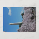Recherche de dc de washington Fleurs