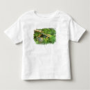 Search for green tea tshirts Peace