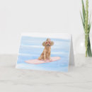 Search for paddle board cards Beach