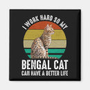 Search for bengal magnets Kitty