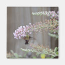 Recherche de transitoire maison deco Rose