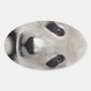 Search for kawaii bear panda stickers Cute