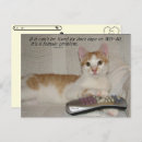 Search for funny quotes postcards Cat