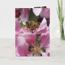 Recherche de belated birthday cards Oublié