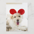 Recherche de dressing cartes postales Chien