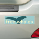 Search for save the ocean bumper stickers Whales