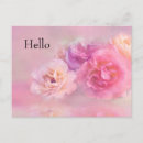 Recherche de oeillets cartes cartes postales Rose