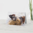 Search for goat christmas cards Snow