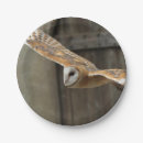 Recherche de hibou assiettes Nature