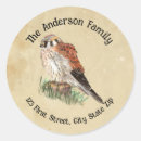 Search for kestrel stickers Falcon