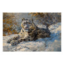 Recherche de léopard neige posters Sauvage