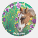 Search for appaloosa horse stickers Equestrian