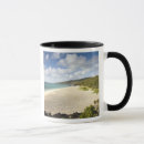 Recherche de algue tasses Tropical