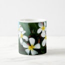 Search for plumeria mugs Hawaiian