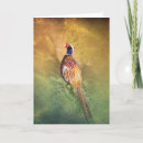 Search for pheasant cards Male