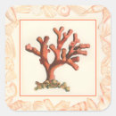 Search for conch shell stickers Coral